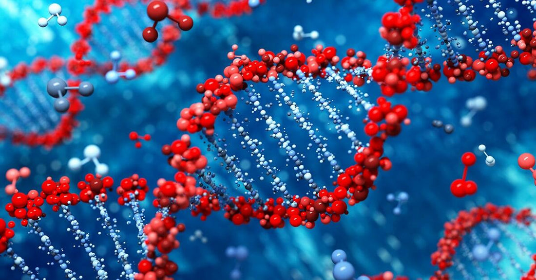 Reverse Glycation for a Longer and Healthier Life