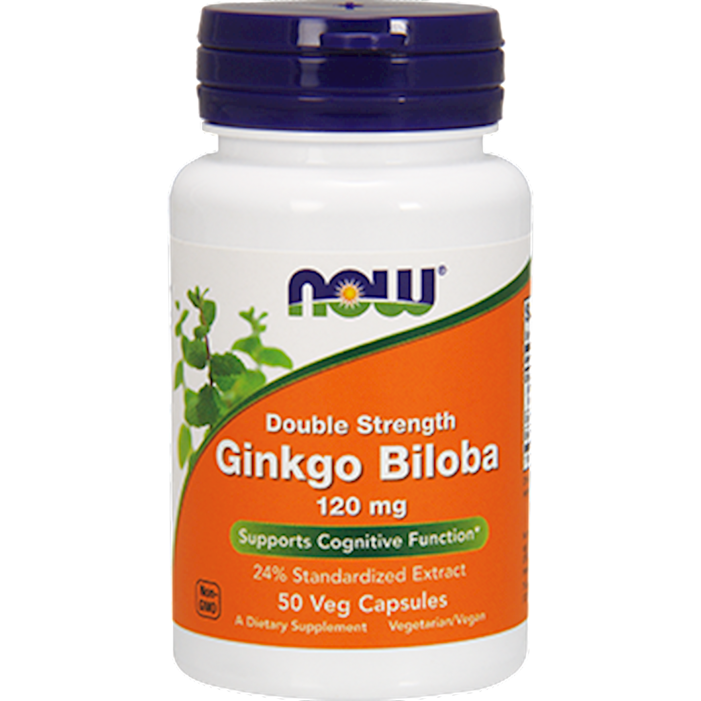 Ginkgo Biloba 120 mg