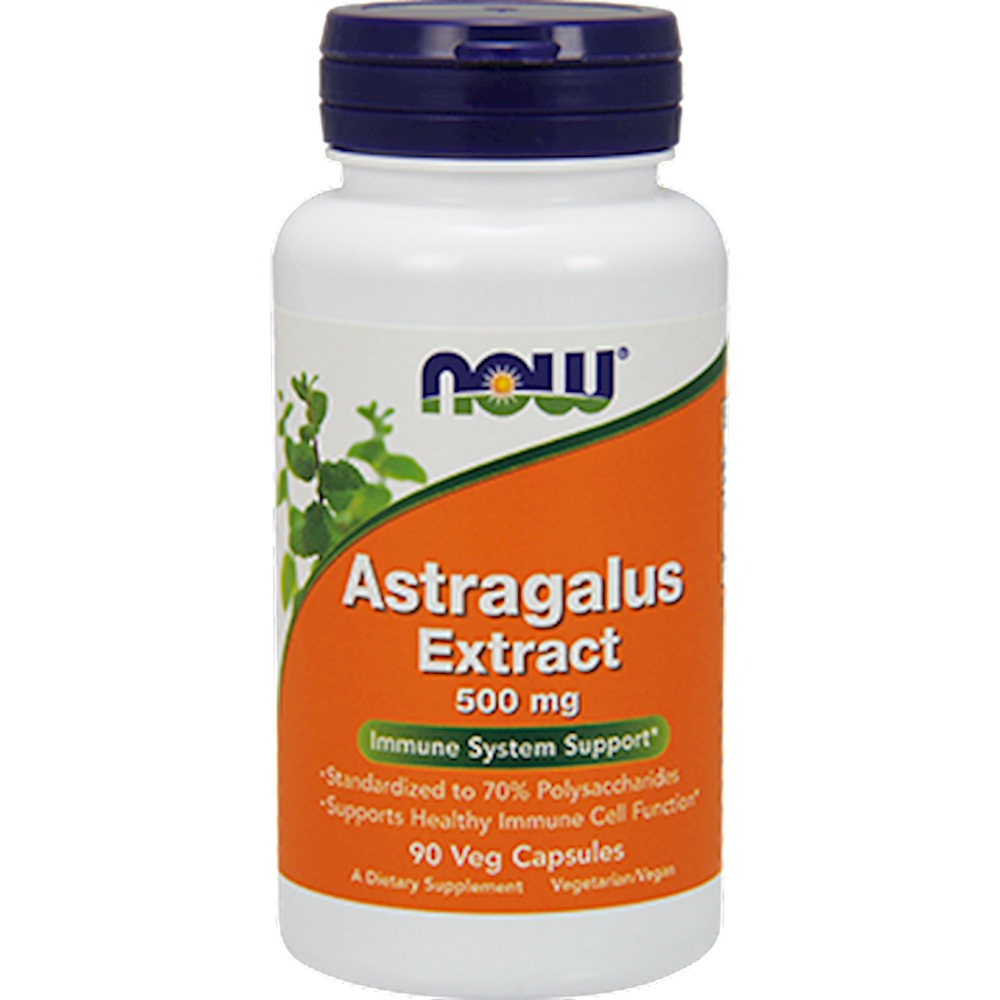 Astragalus Extract 500 mg