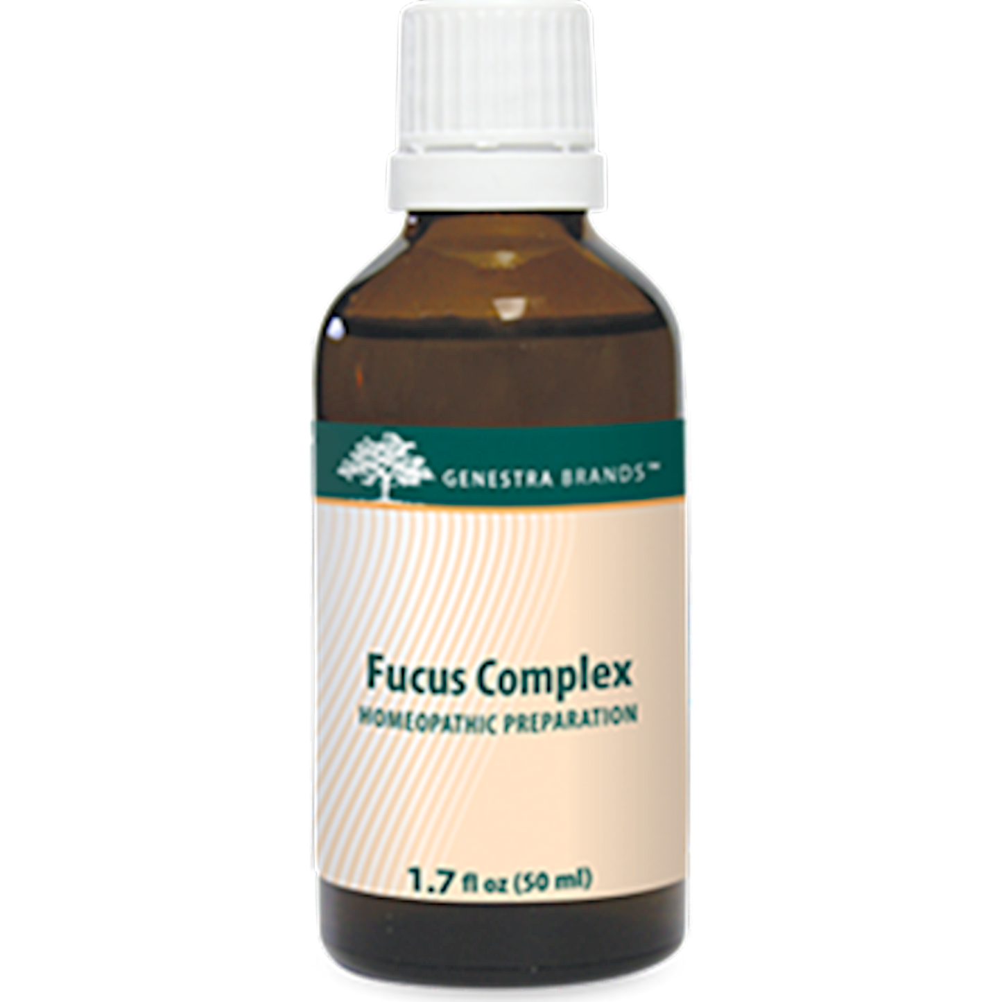 Fucus Complex
