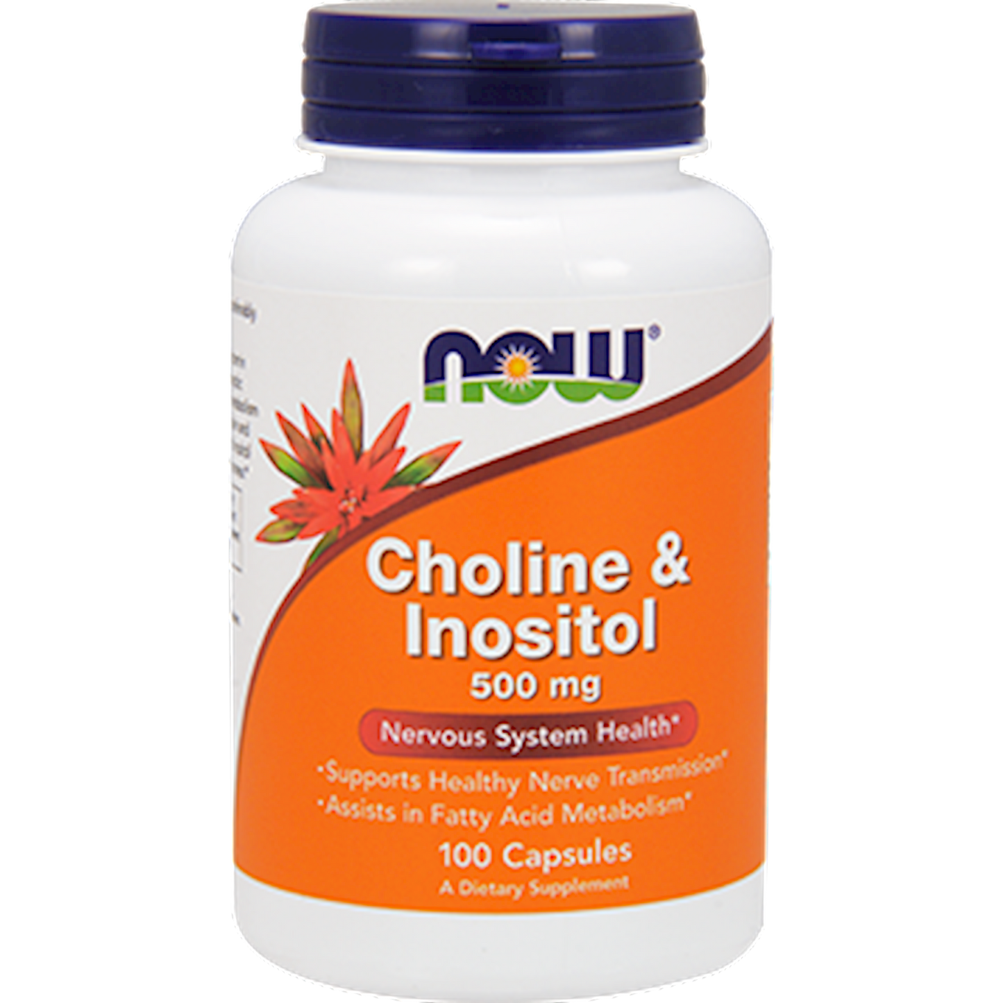 Choline & Inositol 500 mg