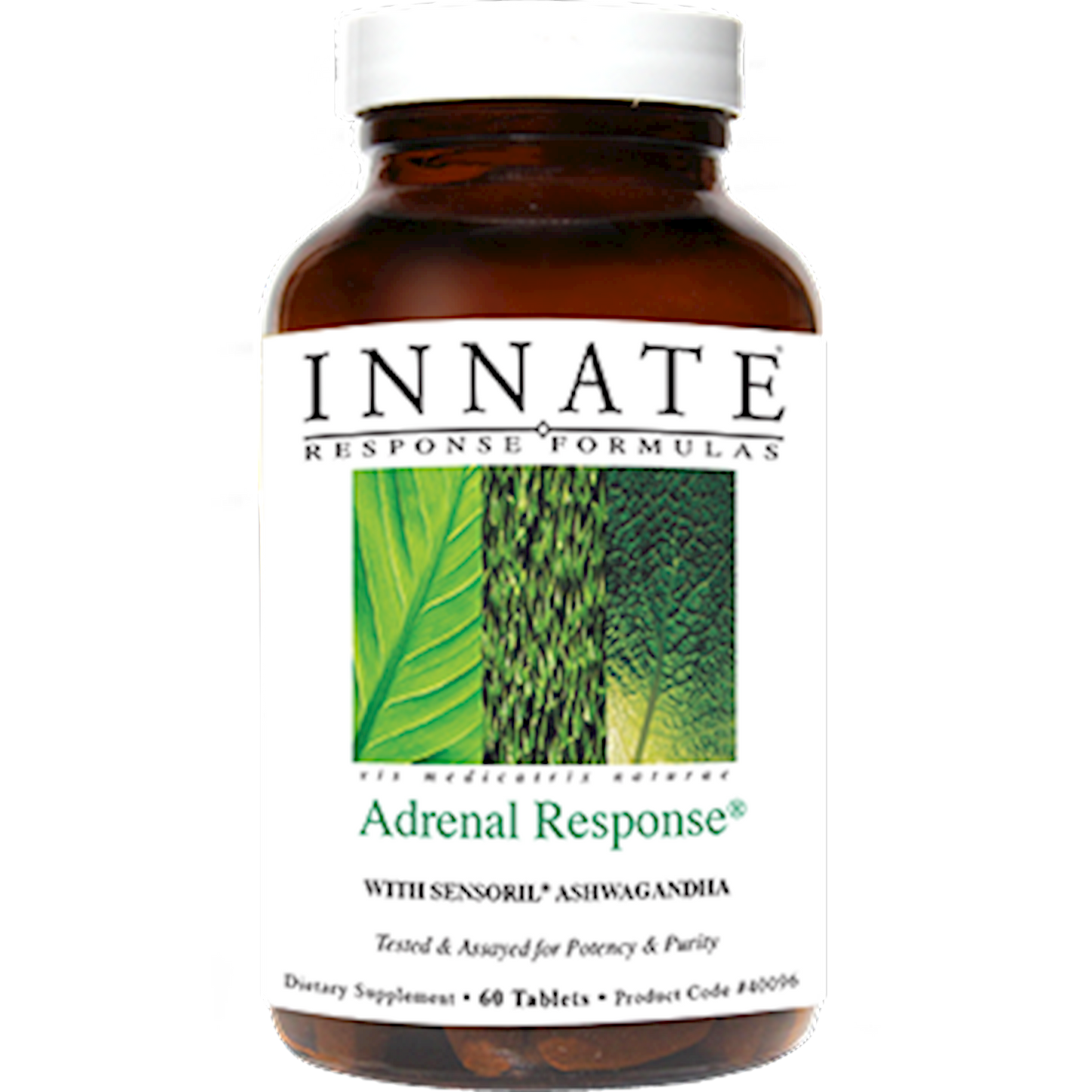 Adrenal Response Non Glandular