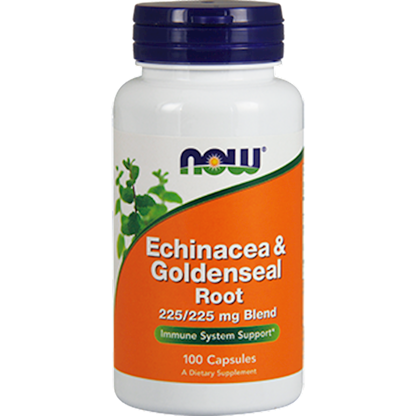 Echinacea & Goldenseal Root