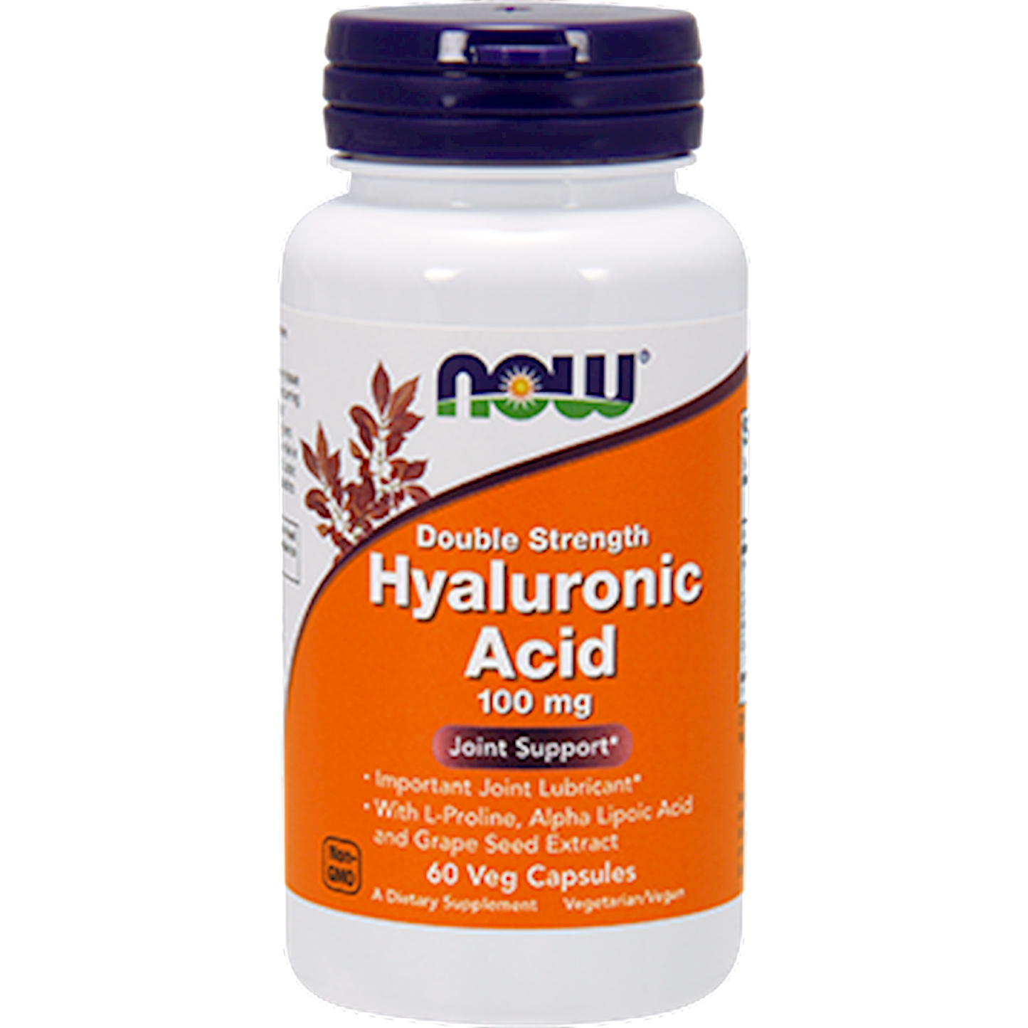 Hyaluronic Acid 100 mg