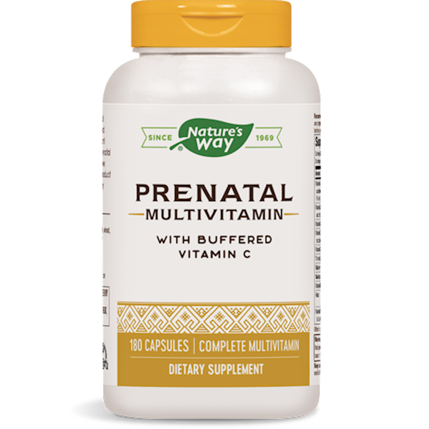 Prenatal Multi-Vitamin