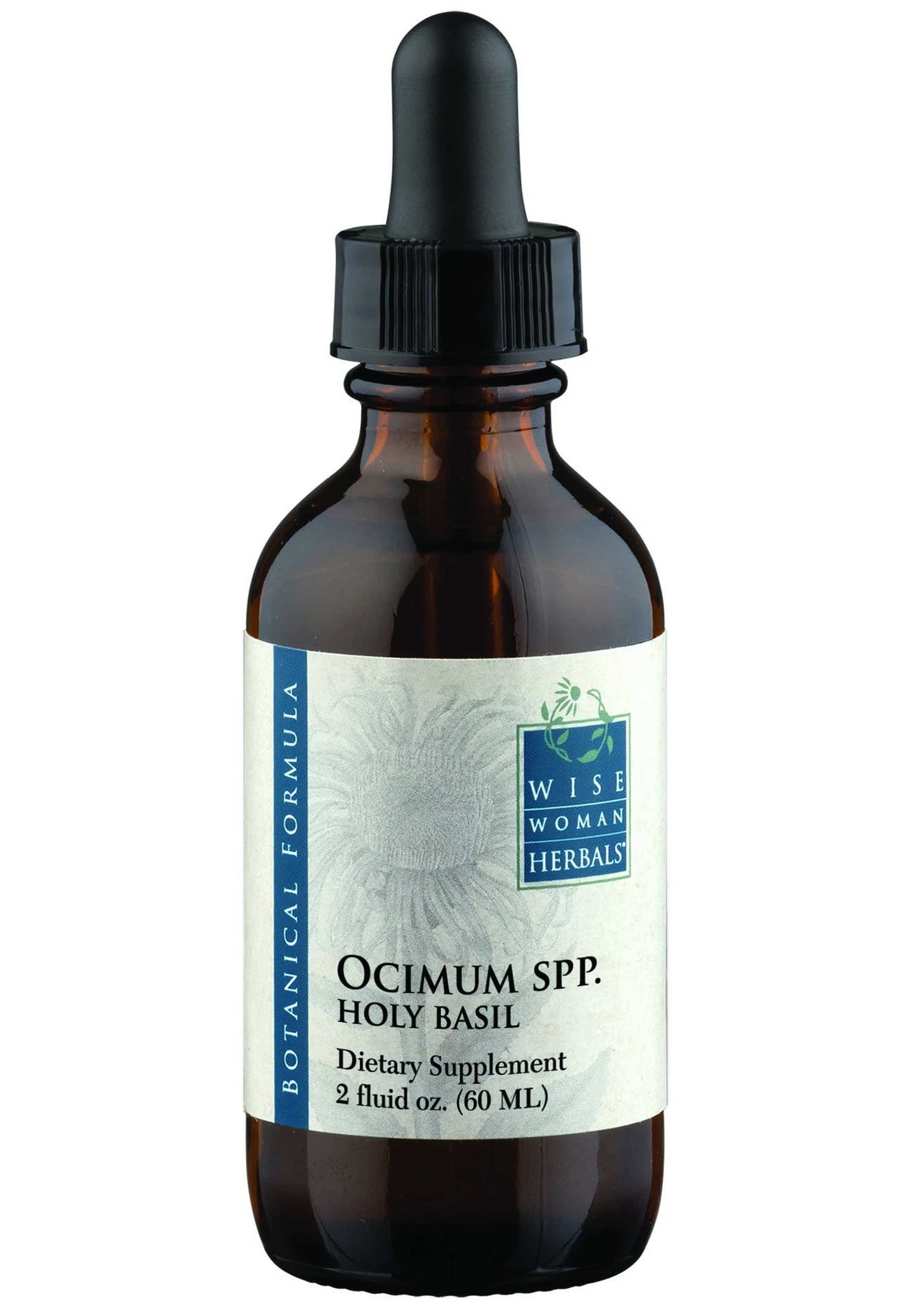 Ocimum Spp Holy Basil