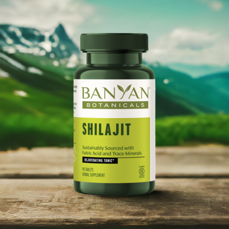 Shilajit 300 mg 90 Tablets