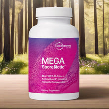 MegaSporeBiotic 60 Capsules
