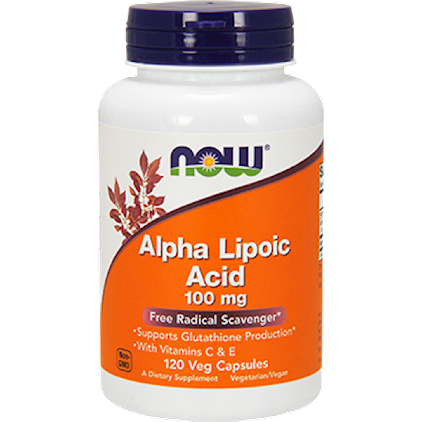 Alpha Lipoic Acid 100 mg