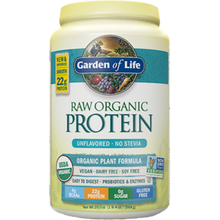 RAW Organic Fit Protein Orig