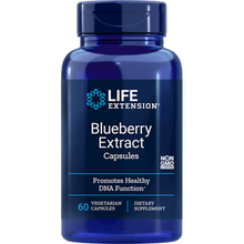 Blueberry Extract