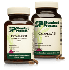 Cataplex B 360 Tablets