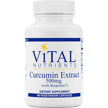 Curcumin Extract 500 mg