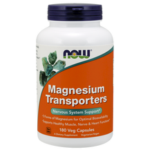 Magnesium Transporters