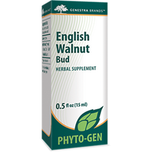 English Walnut Bud