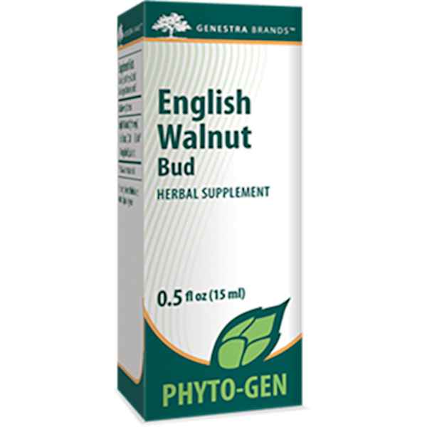 English Walnut Bud