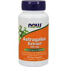 Astragalus Extract 500 mg
