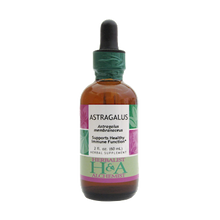 Astragalus Extract