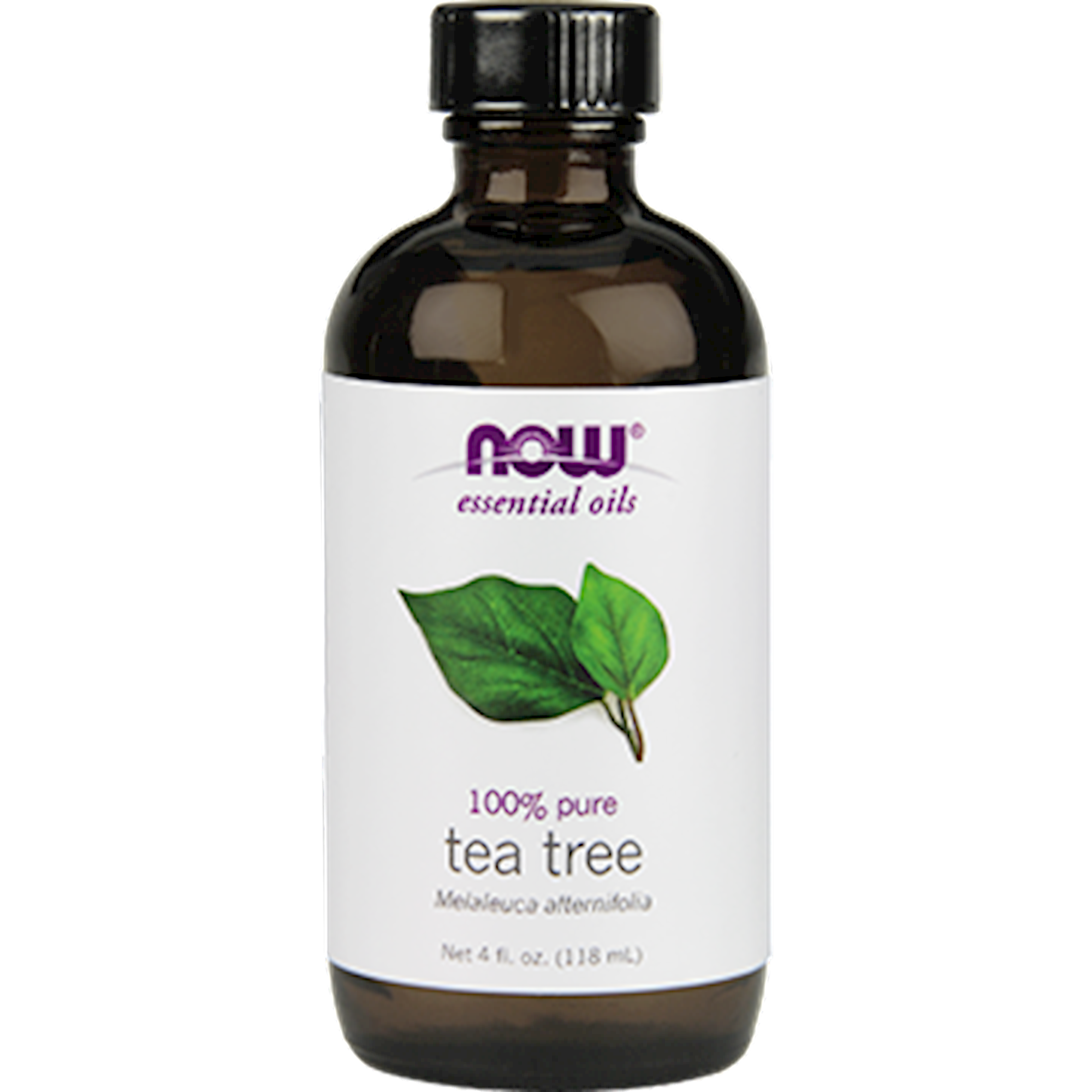 Tea Tree Oil 4oz – Expert Nutrition Center