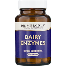 Dairy Enzymes