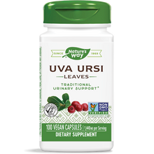 Uva Ursi Leaves