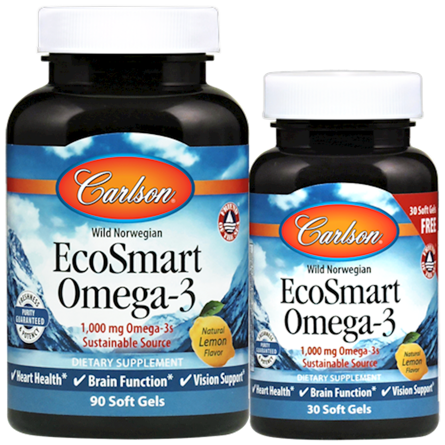 EcoSmart 90+