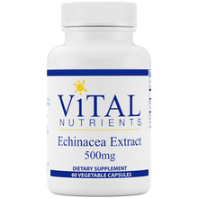 Echinacea Extract 500 mg