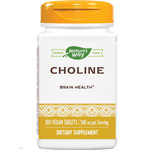 Choline 500 mg