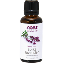 Lavender Oil, Spike