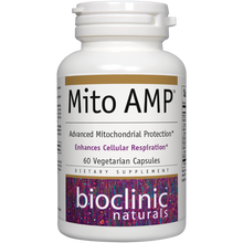 MitoLife AMP