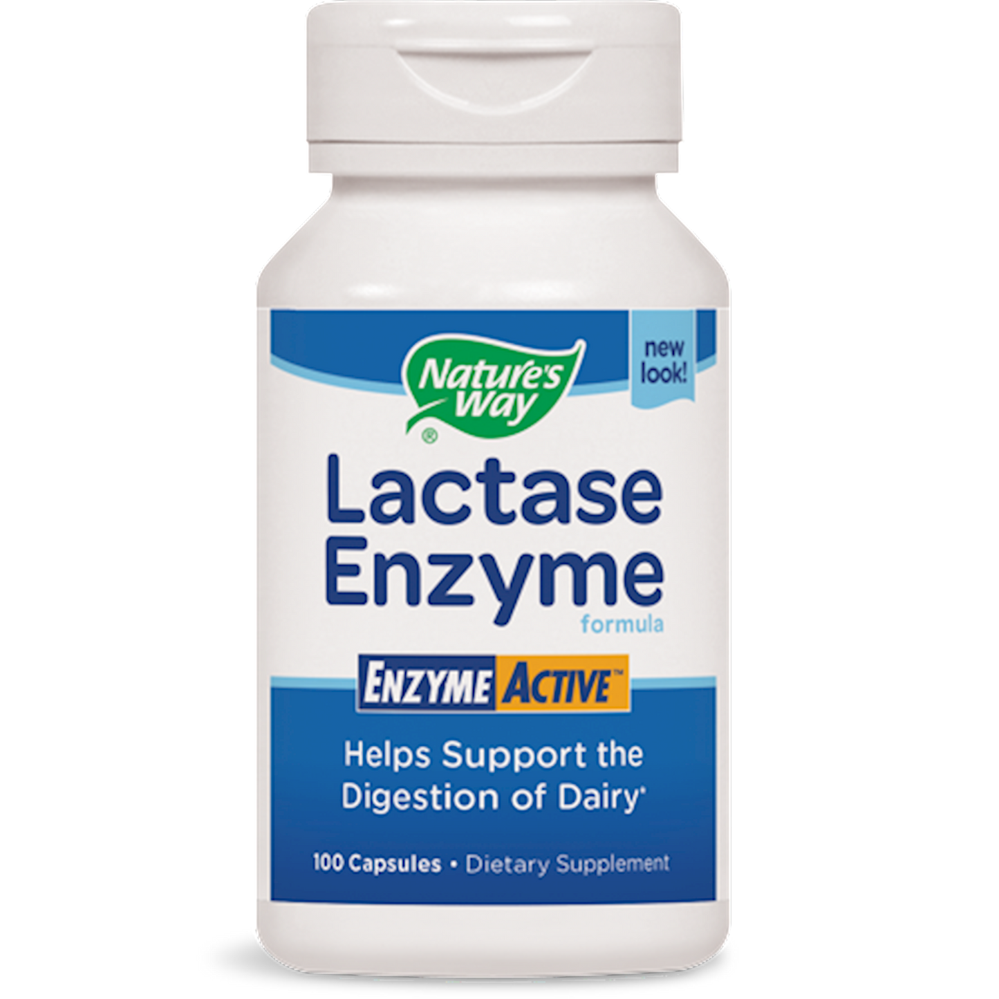 Lactase Enzyme