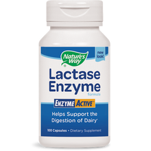 Lactase Enzyme