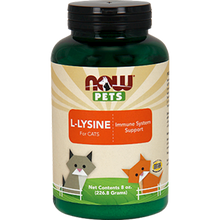 Pets L-Lysine Powder (Cats)