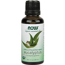 Eucalyptus Oil Organic
