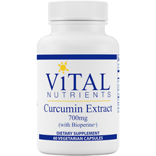 Curcumin Extract 700