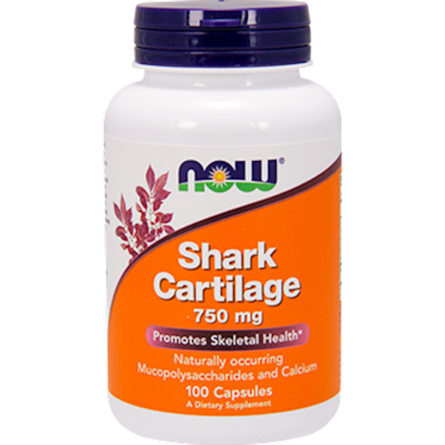 Shark Cartilage 750 mg