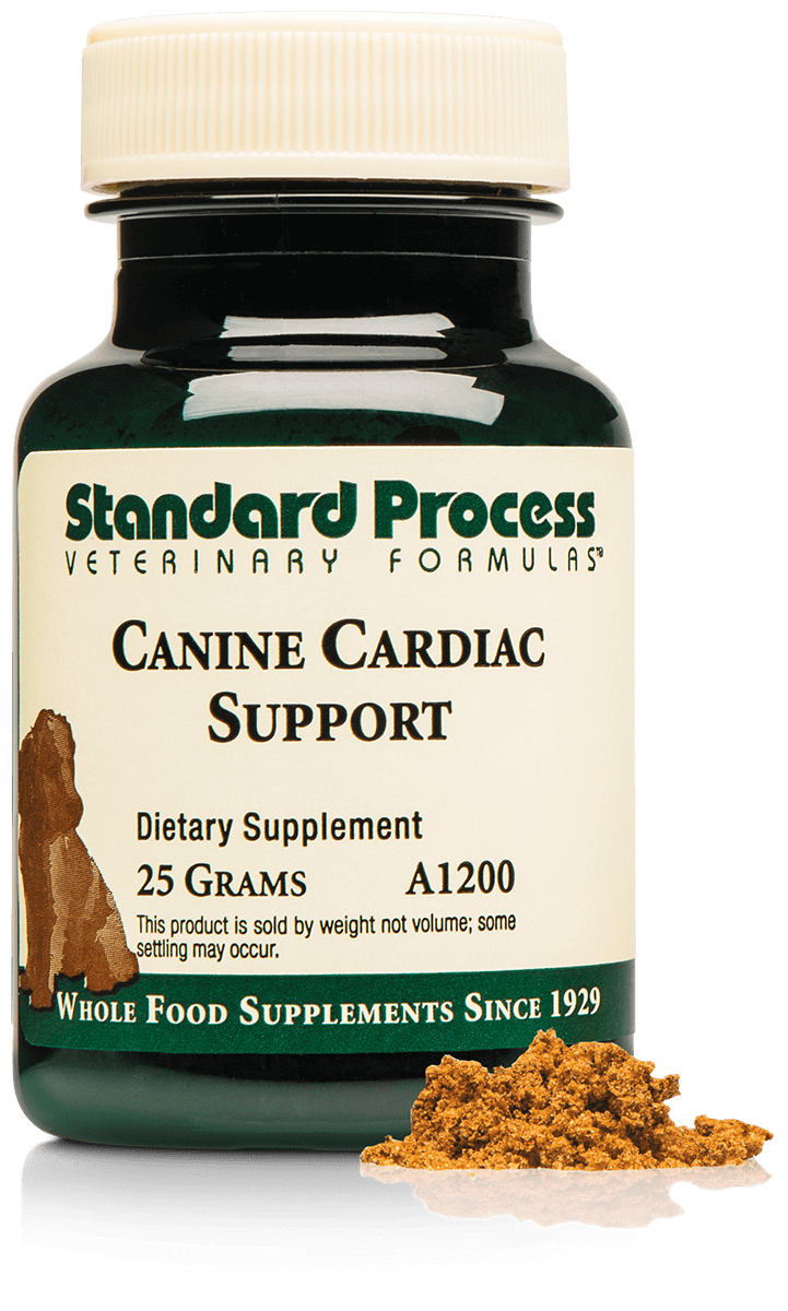 Canine Cardiac Support