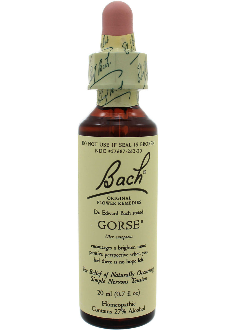 Gorse 20 ml