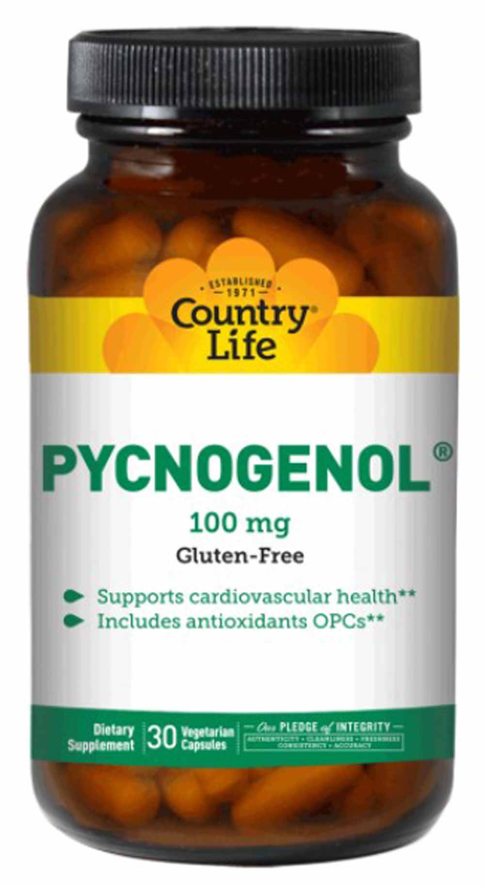 Pycnogenol 100 mg – Expert Nutrition Center