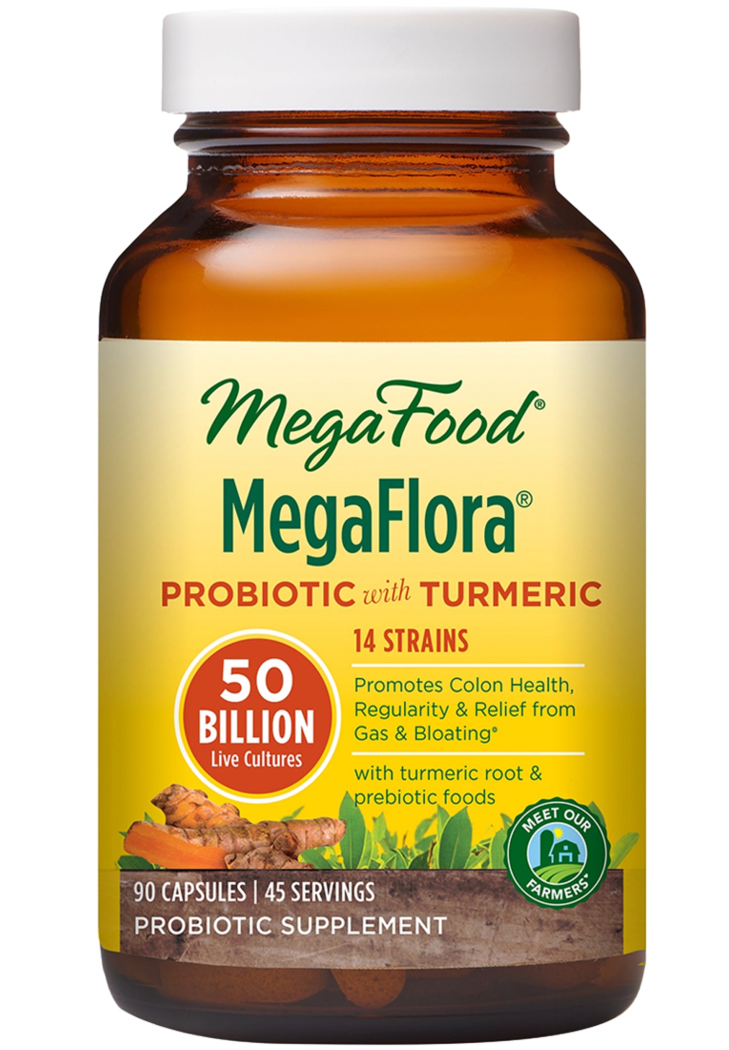 MegaProbiotic with Turmeric