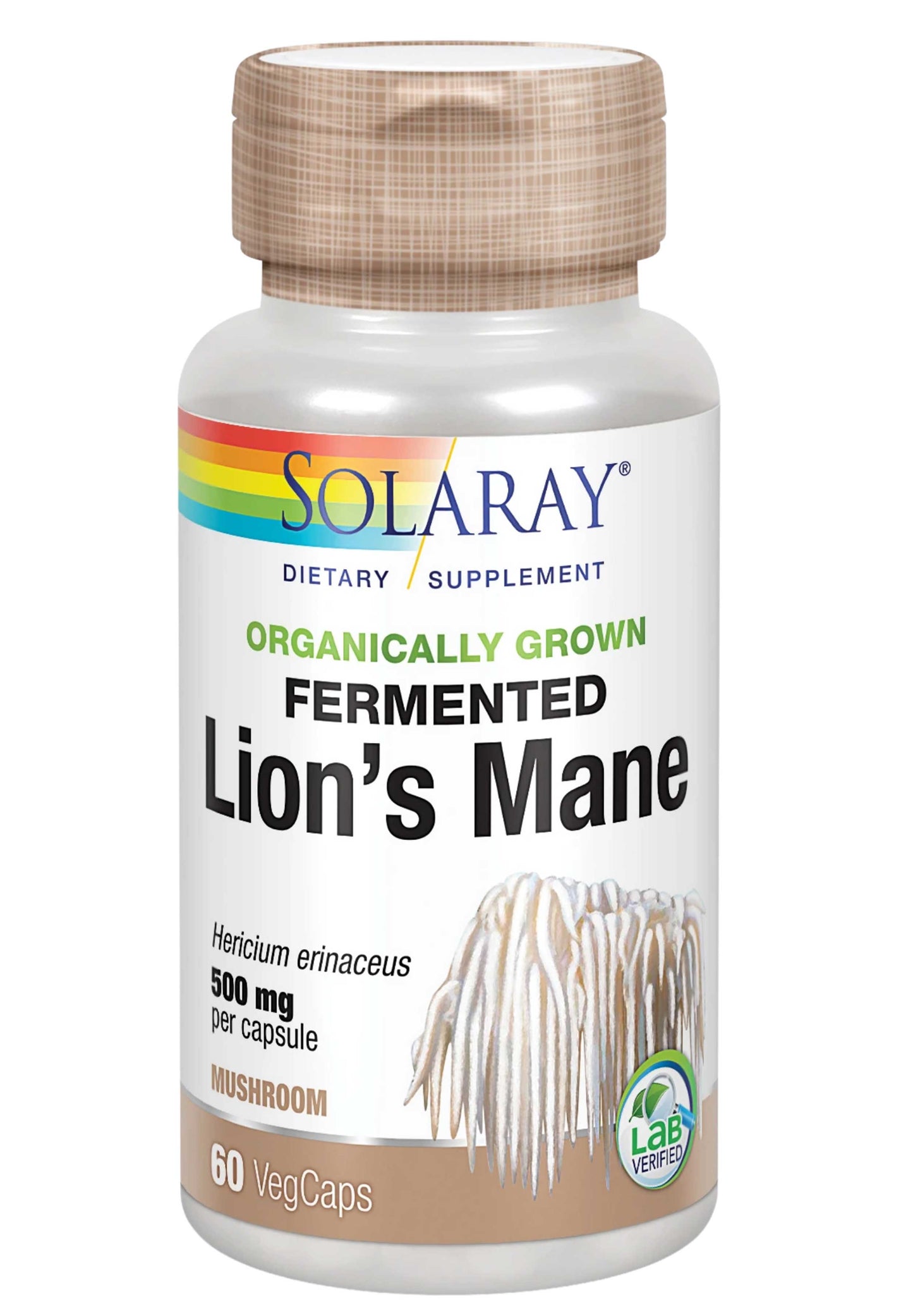 Fermented Lion's Mane