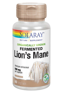 Fermented Lion's Mane