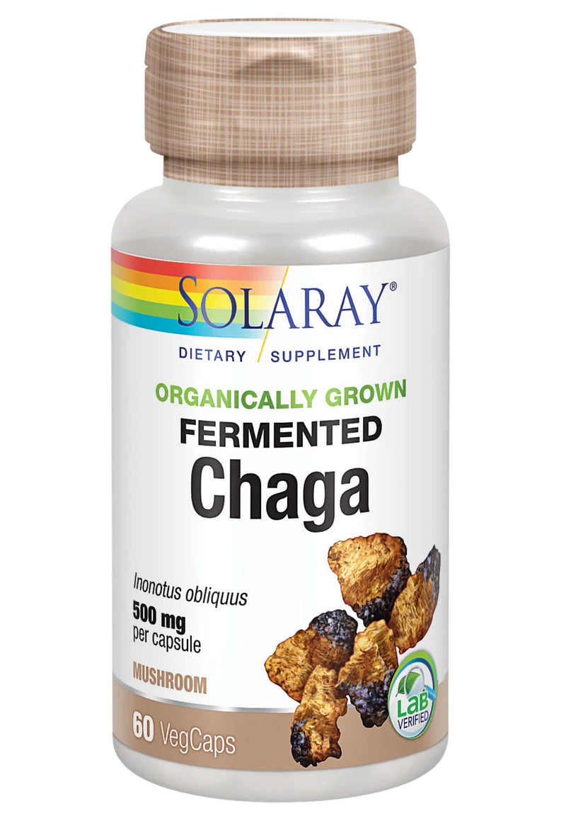 Organic Fermented Chaga