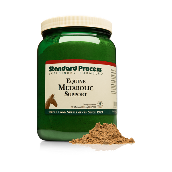 Equine Metabolic Support