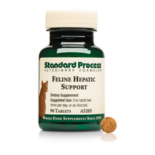 Feline Hepatic Support