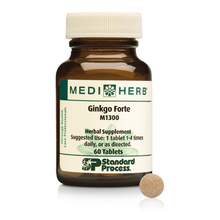 Ginkgo Forte