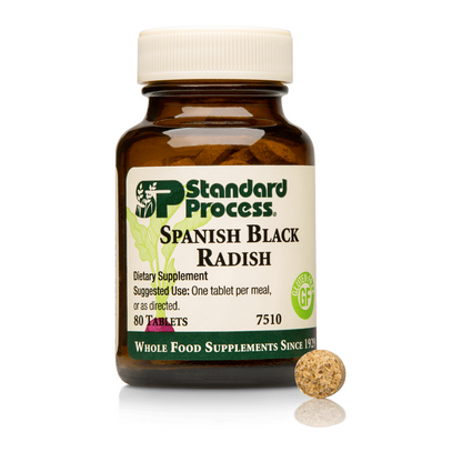 Spanish Black Radish