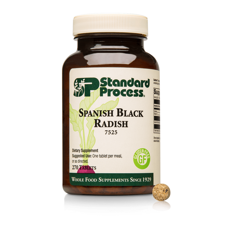 Spanish Black Radish
