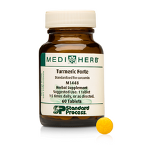 Turmeric Forte
