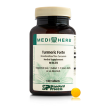 Turmeric Forte